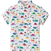 Little Bitty Kids Dinosaur Shirt Toddler Boy Button Down T-Shirts Hawaiian Short Sleeve Dress Tops 2-7 Years