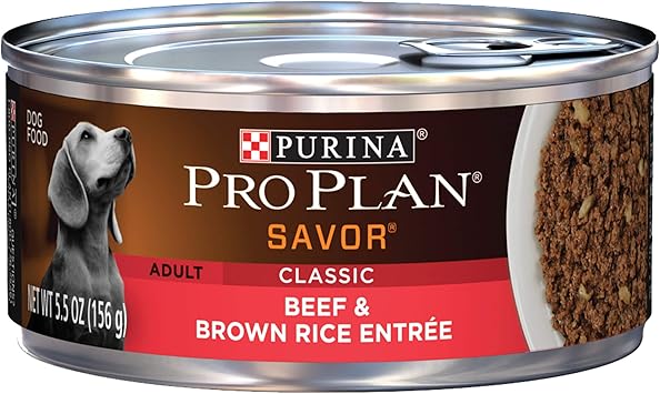 beef pro puppy