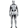 Spooktacular Creations Skeleton Bone Bodysuit Halloween Costumes for Men with Skeleton Hood Mask