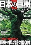 日本の巨樹 ~1000年を生きる神秘