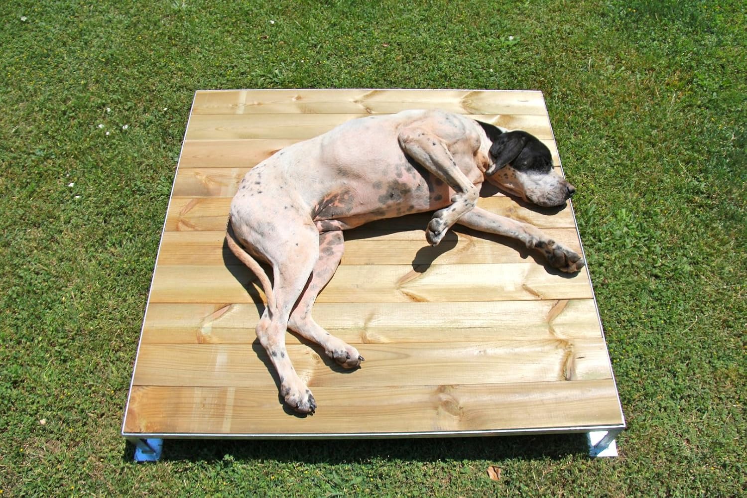 cama perro exterior