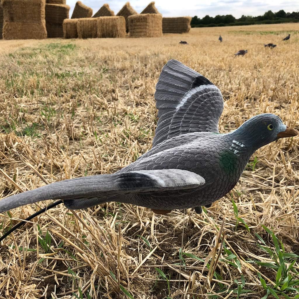 Flocked Flying Pigeon Decoy Amazon.co.uk Sports & Outdoors