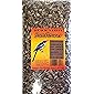 Desert Valley Seed's Premium Striped Sunflower Seed - Wild Bird - Wildlife Food, Cardinals, Squirrels, Jays & More (3…