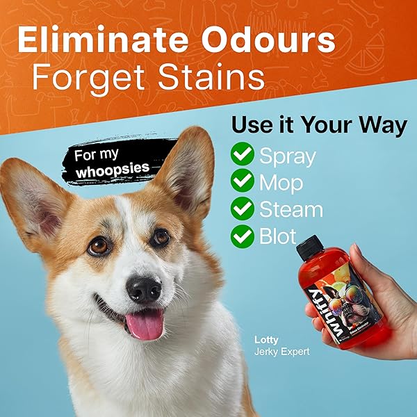 WHIFFY CITRUS PET ODOR ELIMINATOR FOR HOME, CARPETS, FURNITURE, AND MORE – USE ON DOG/CAT PEE SMELLS 8OZ CONCENTRATE BOTTLE