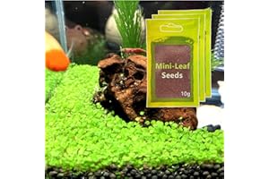 YIZIMONA 30gram Aquarium Plant S e-e-d, 3 pack Tiny-leaf no Artificial Water Grass for Fish Tank Terrarium not Plastic aaa