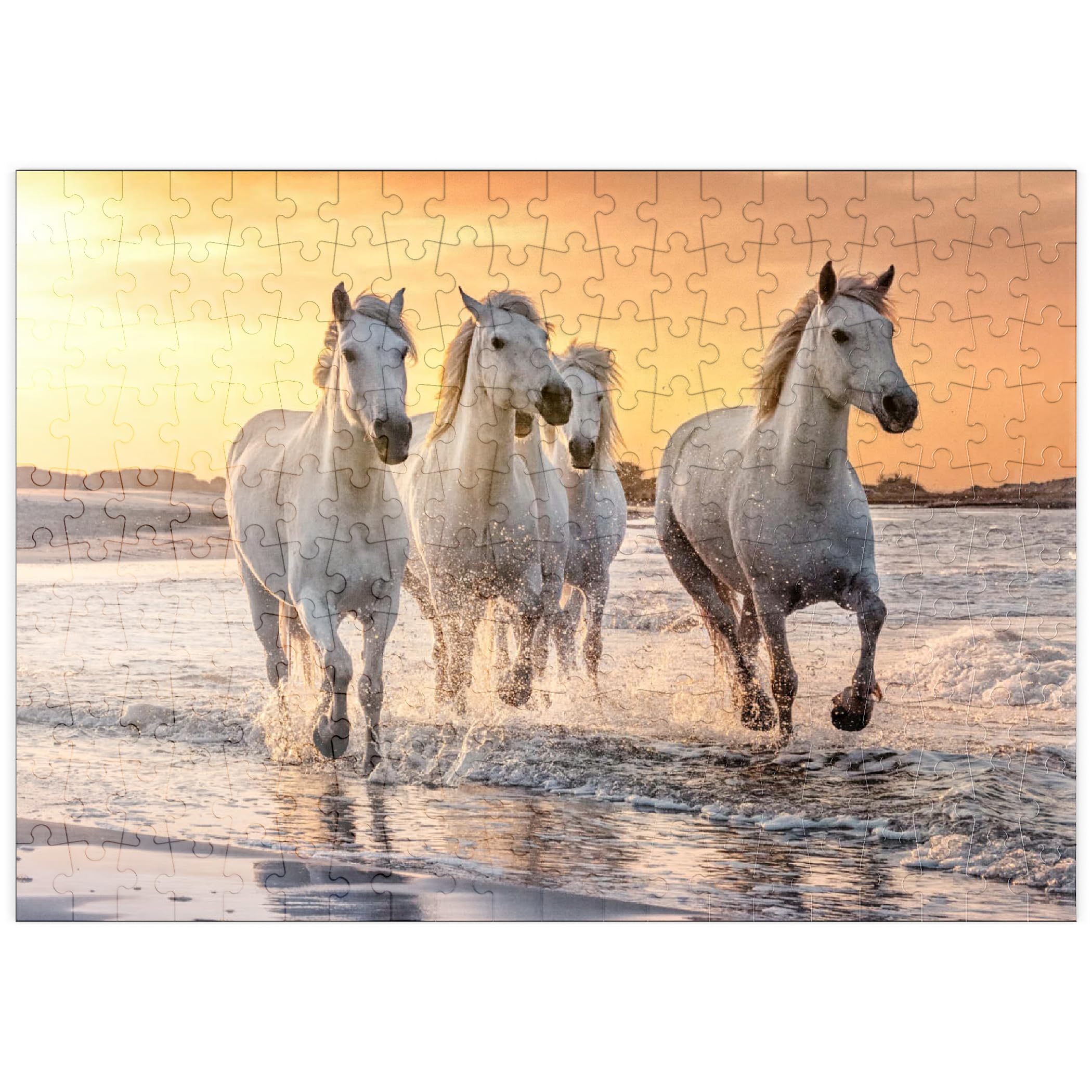 White Camargue Horses Galloping On Beach, France - Premium 200 pieces Puzzle - MyPuzzle special collection from Puzzle Galaxy