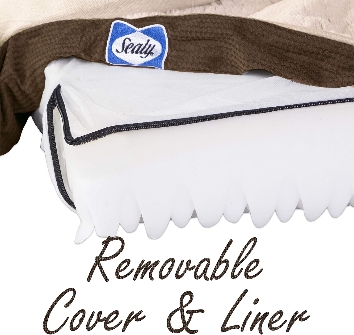 Sealy Dog Bed Sealy Ultra Plush Sofa-Style Bolster Dog Bed Brown, Small - Orthopedic Foam Pet Bed with Machine Washable Plush Cover, Small (20" x 25") (SealyOCB2520B) : Pet Supplies