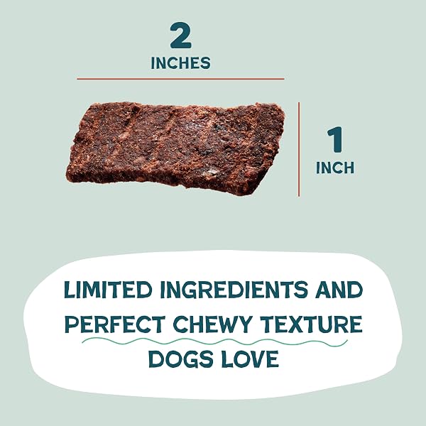 SHAMELESS PETS JERKY BITES TREATS, DUCK-TATO – HEALTHY DOG CHEWS FOR DIGESTION SUPPORT WITH FIBER – DOG TREATS WITH REAL CAGE-FREE DUCK – FREE FROM GRAIN, CORN & SOY – 1-PACK