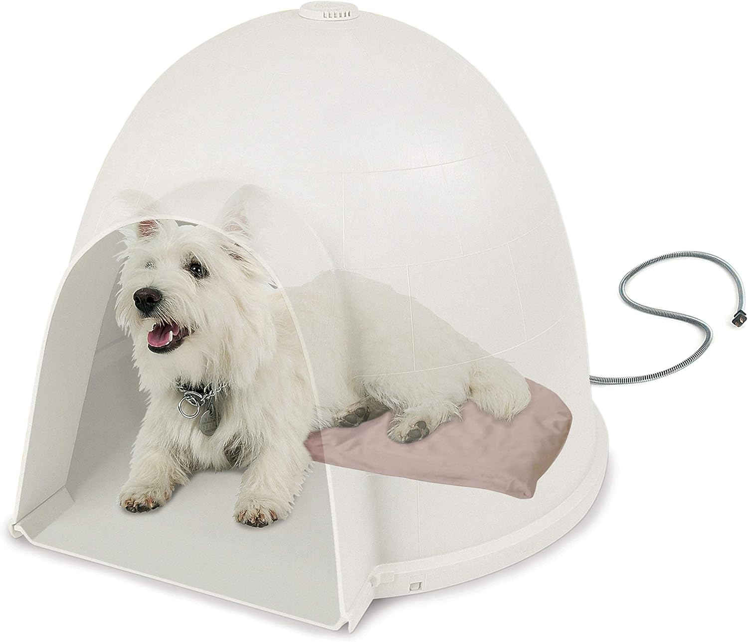 dog bed igloo style