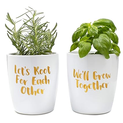 Plant Care Supplies Soil Accessories Ceramic Windowsill Herb