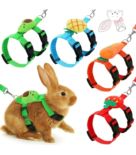 Amazon.com : Niteangel Adjustable Soft Harness with Elastic Leash