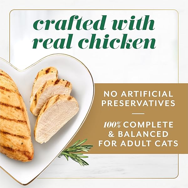 FANCY FEAST GEMS PATE CAT FOOD MOUSSE WITH CHICKEN AND A HALO OF SAVORY GRAVY CAT FOOD – (PACK OF 8) 4 OZ. BOXES