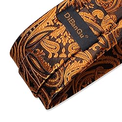 DiBanGu Silk Paisley Ties for Men Woven Necktie and