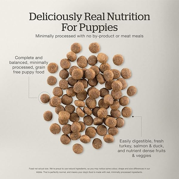 NOW FRESH GRAIN-FREE SMALL BREED DRY PUPPY FOOD WITH TURKEY, SALMON & DUCK, HEALTHY KIBBLE FOR GROWING DOGS WITH REAL POULTRY & FISH, CHICKEN-FREE, PUMPKIN & PROBIOTICS FOR GOOD DIGESTION, 3.5 LB BAG