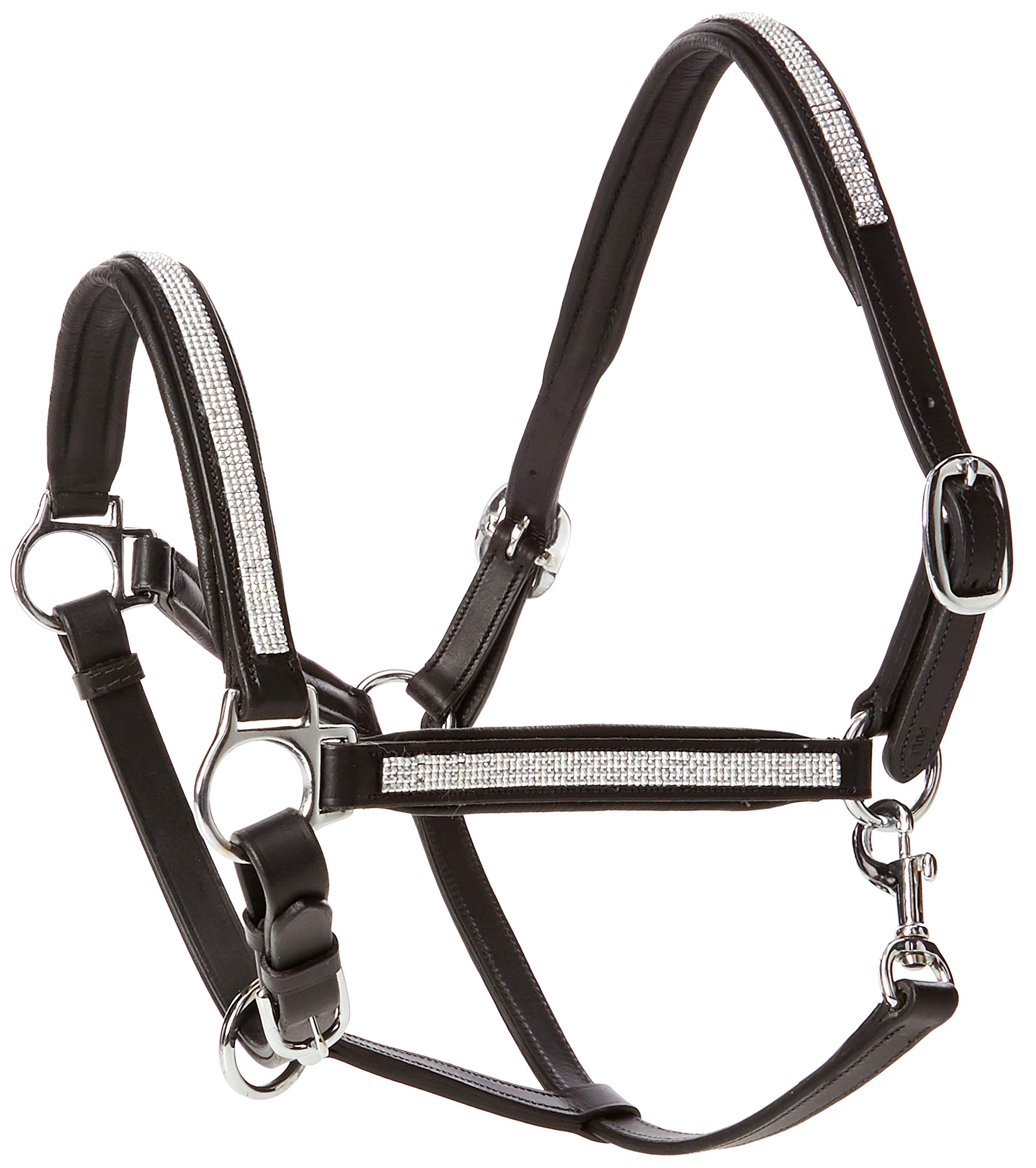 Cwell Equine NEW Leather Halter Padded with SS Buckles 6/8"-Cob, Full, Pony BLACK (FULL)