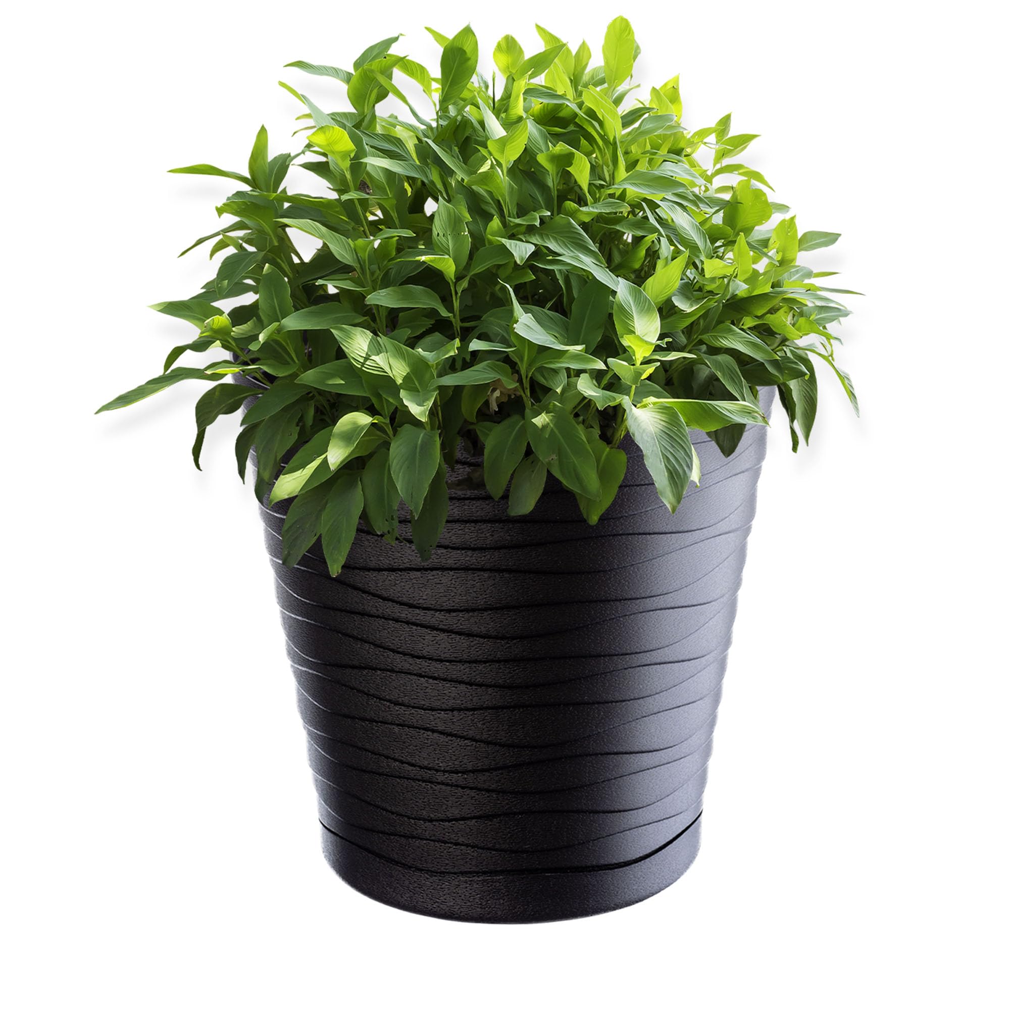 KADAX Plastic Flowerpot, Indoor Plant Pot with Saucer, Lightweight Flower Pot in Several Colours and Sizes, Unique Planter for Houseplants (17 cm, Anthracite)
