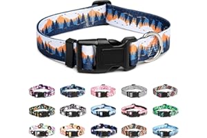 Mercano Adjustable Dog Collar - Special Design Patterns, Soft Nylon Comfortable Durable Pet Collar for Small Medium Large Dogs (L, Sunset Valley)