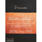 Hahnemuhle Collection Watercolor 300 Pad Cold Pressed 9x12 Inches 300gsm