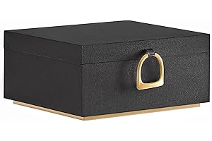 SONGMICS 2-Layer Jewelry Box, Jewelry Organizer with Handle, Removable Jewelry Tray, Black UJBC165B01