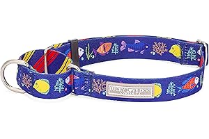 Lucky Love Dog Martingale Collar, Blue Color No Slip Collars for Medium Dogs, Tropical Fish Pattern Martingale Dog Collar, Great for Whippets, Greyhounds, and More (Mackey, Medium)