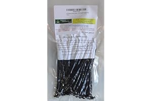 50 Tahitian Extract Grade B Natural Vanilla Beans 5~6" by Vanilla Products USA