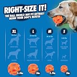 Chuckit! Air Fetch Ball Small 4.8 cm Pack of 2 Durable Rubber Dog Toy view 2
