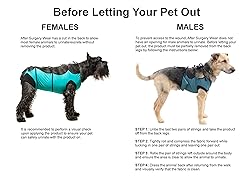 E-Collar Alternative for Cats and Dogs Designed to