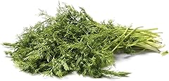 Herb Dill Organic, 1 Bunch