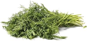 Herb Dill Organic, 1 Bunch