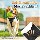rabbitgoo Escape-Proof Small Dog Harness with Handle Reflective Black S view 7