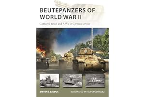Beutepanzers of World War II: Captured tanks and AFVs in German service