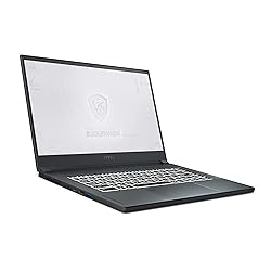 MSI WS66 10TKT-081 Mobile Workstation