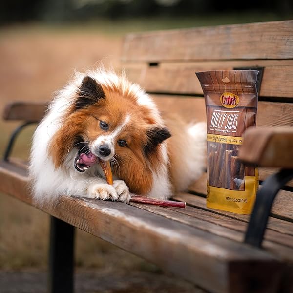 CADET BULLY STICKS FOR SMALL DOGS – ALL-NATURAL BEEF PIZZLE, HIGH PROTEIN, LOW FAT, LONG-LASTING, GRAIN & RAWHIDE-FREE DOG CHEWS FOR AGGRESSIVE CHEWERS, SMALL (12 OUNCE)