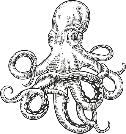 Octopus Cartoon Images Black And White