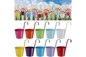 Glory Island 10 Pack 6 in Metal Iron Hanging Flower Pots, Balcony Planter with Detachable Hook, Durable Herb Pots Perfect for Fence (6 inches)