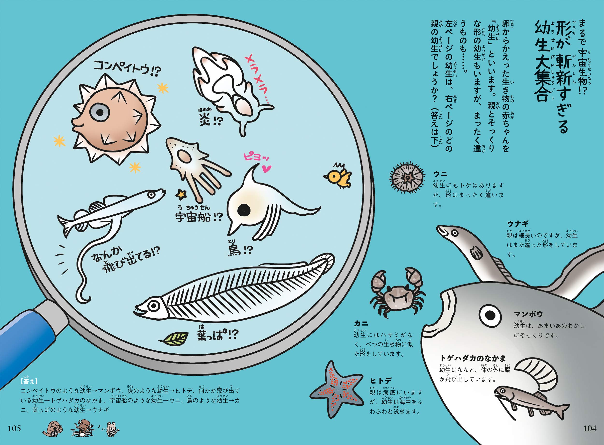 おもしろい 進化のふしぎ ますますざんねんないきもの事典 今泉 忠明 下間 文恵 本 通販 Amazon