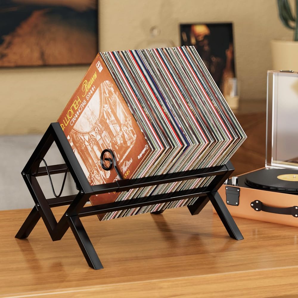 EKNITEY Vinyl Record Storage Holder Metal Stand 80-100 LPs Black