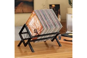 EKNITEY Vinyl Record Storage Holder - Metal Record Stand 80-100 LP Storage Vinyl Organizer for Albums Audio Easy to Assemble 