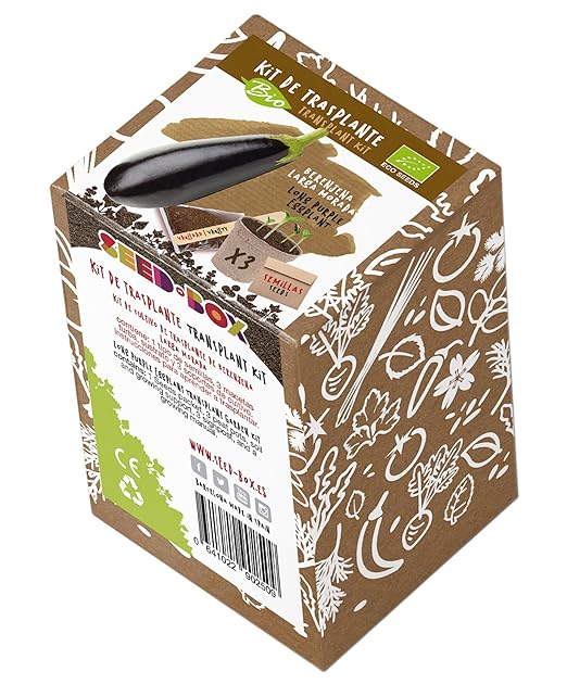 SeedBox KTEVHBL Huerto Urbano kit trasplante eco de berenjena ...