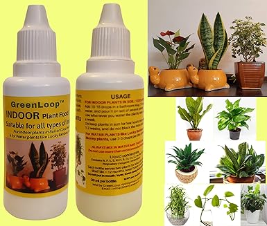 GreenLoop Indoor Plant Food - Liquid Fertilizer for Indoor Plants, Two Bottles, Each 30 ml.