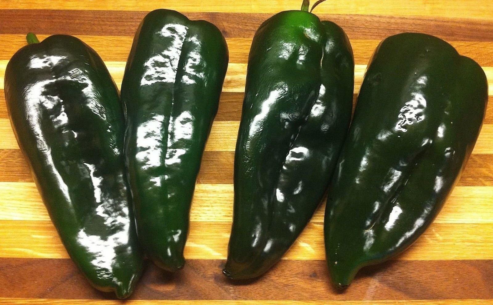 Ancho Poblano (30 seeds) The Heirloom Mild TexMex Pepper!!!