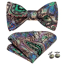 Hi-Tie Men Ties Bowtie Set Silk Necktie Bow Tie