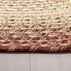 SAFAVIEH Braided Collection 3' x 5' Rust / Multi