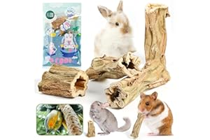Abizoo Rabbit chew Toys for Bunnies,4 Pcs Natural Papaya Wood Chew Sticks Bunny Chews for Teeth Chinchilla Guinea Pig Hamster Gerbil Degu Small Animals to Keep Busy Molar Treats Toys
