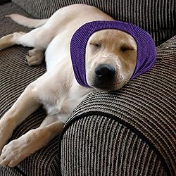 Quiet Ears for Dogs, Rbenxia 1 Piece Dog Ear Cover