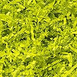 Wowxyz 1 LB Crinkle Cut Paper Shred Light Green