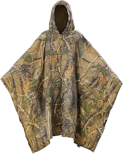 sam edelman teddy bear coat