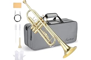Asmuse Bb Standard Trumpet Set for Beginner, Brass Student Trumpet Instrument with Hard Case (Gold)