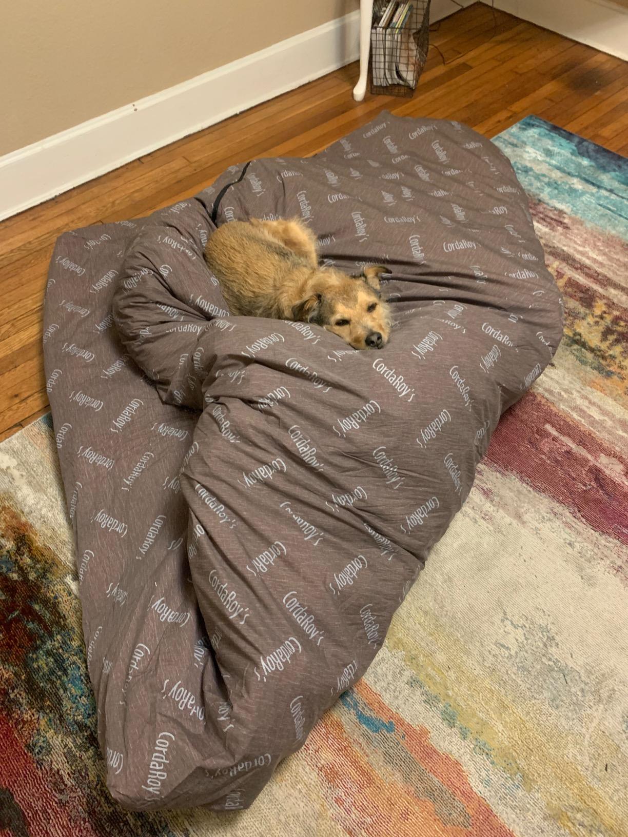 29/mo Finance CordaRoy's Corduroy Bean Bag Chair, Convertible Chair Folds from Bean Bag to