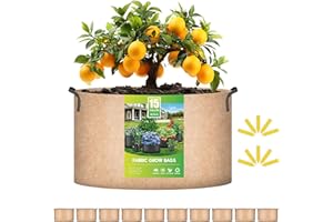 iPower 15 Gallon 10 Pack Grow Bags Nonwoven Fabric Pots Aeration Container with Strap Handles for Garden and Planting, 10-Pack Tan, 15 Gallon